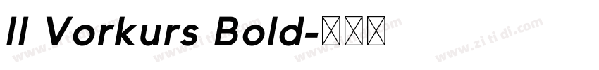 II Vorkurs Bold字体转换 II Vorkurs Bold字体转换